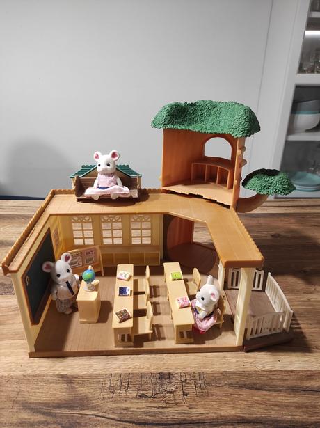 Sylvanian škola, 