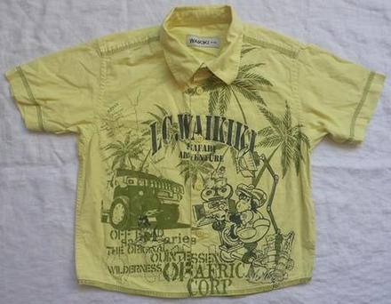 Zlta letna kosielka, 104