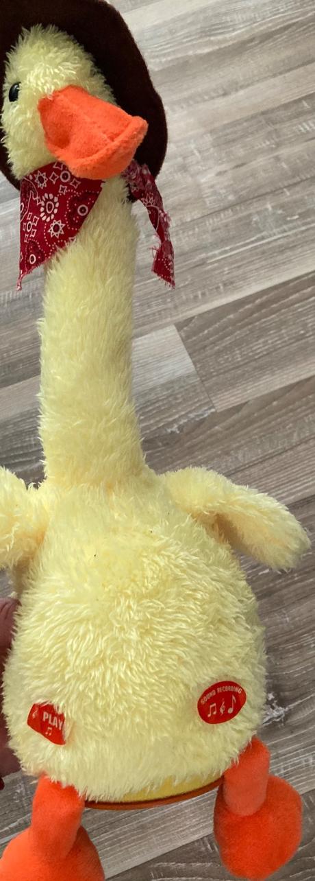 Plyšová spievajúca,tancujúca kačka/káčer, 