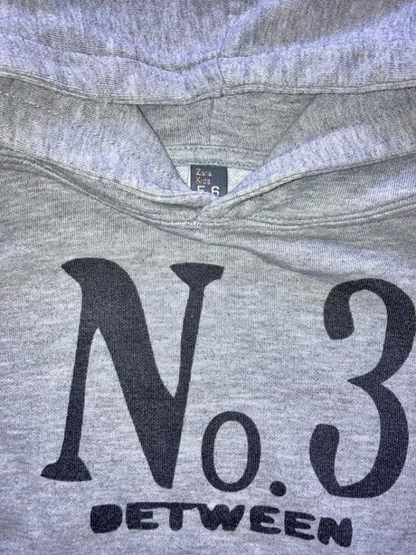 Len 2,49 dve mikiny zara veľ 118 na 5-6 rokov, zara,116