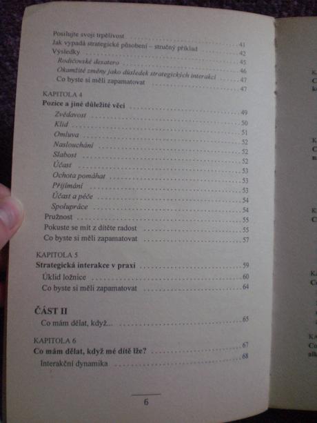 Kniha o výchove deti, 