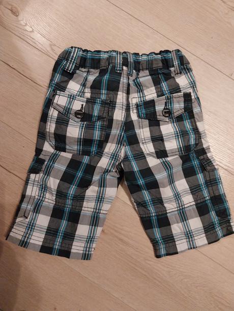 Kratasy, palomino,104