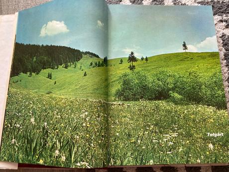 Pieseň o slovenskom národnom povstaní (1974),