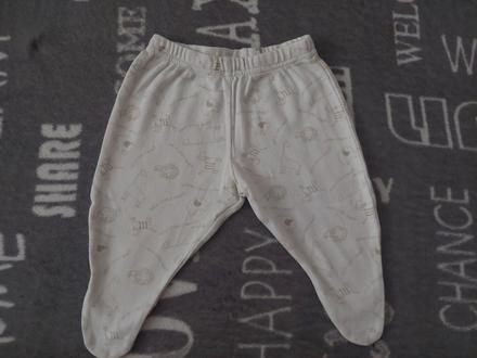 Polodupačky zvieratká, 56