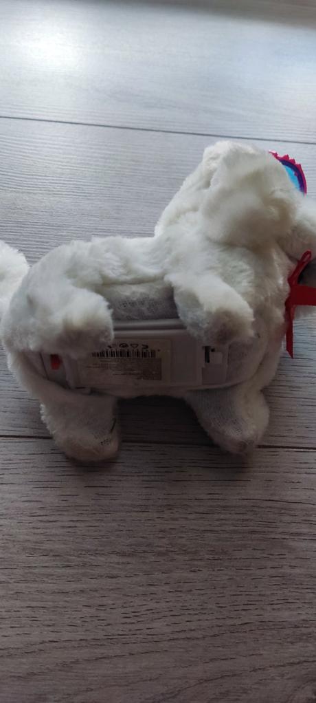 Biely psík, chodí, šteká, 