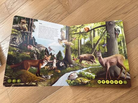 Kúzelné čítanie svet zvierat,