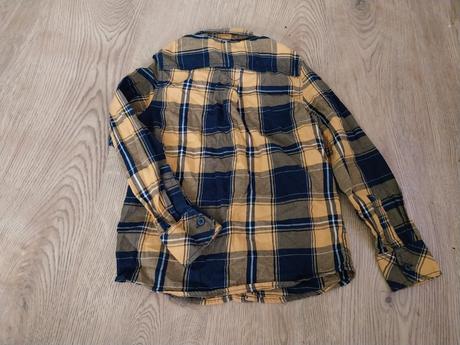 Košela, palomino,128