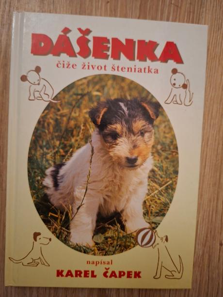 Dášenka - karol čápek, 