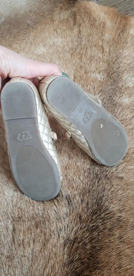 Topanocky, mayoral,26