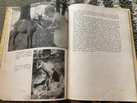 Živé poklady prvé vydanie 1963,