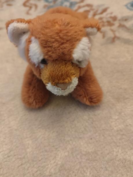 Jemnučký tiger rappa, 