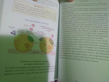 Dr. csomai zita  egészséges hormonrendszer, 