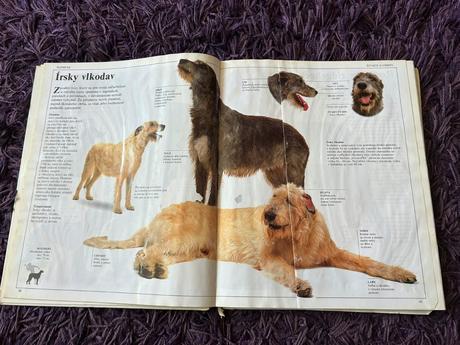 Veľká kniha o psoch,