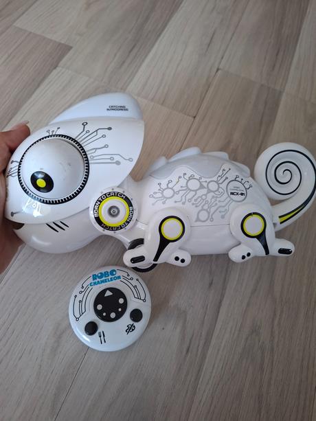 Chameleon robo, 