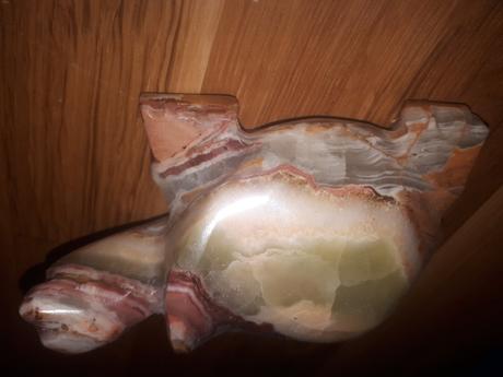 Korytnačka z onyxu, 