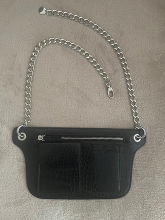 Ľadvinka na striebornej retiazke, 