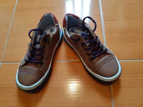 Poltopánky, lasocki,31