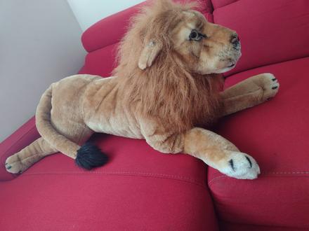 Veľký plyšový lev,