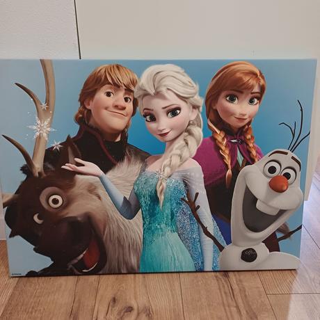 Obraz frozen, 