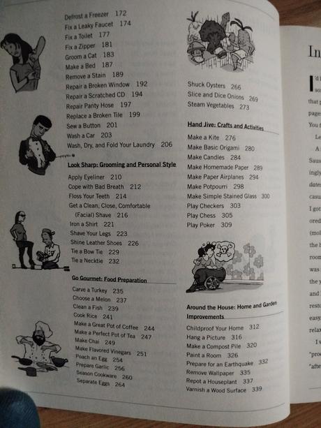 Kniha v anglictine how to do anything., 