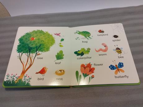 Usborne first word book  nau23, 