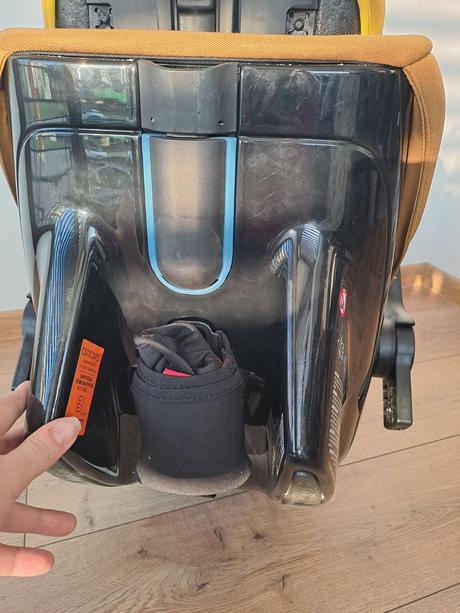 Concord vajicko, concord