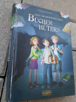 Kniha v nemčine tajomstvo účtovníka,