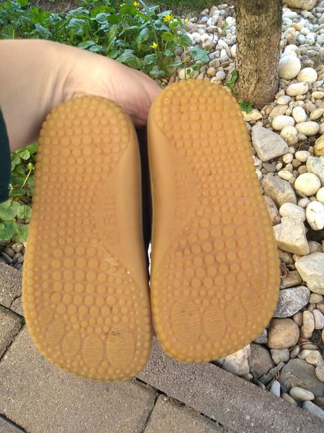 Filii celoročné w, filii,22