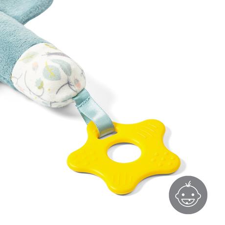 Babyono piskatko s hryzatkom  tukan titi, 