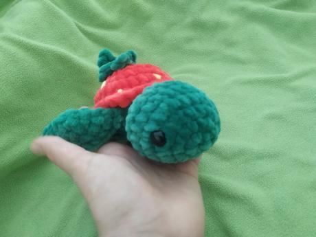 Korytnačka jahôdka, 