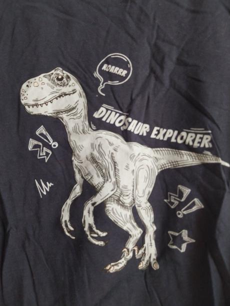 Tricko dino, sinsay,140