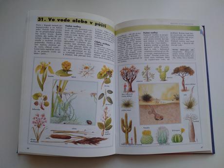 Detská encyklopédia, 