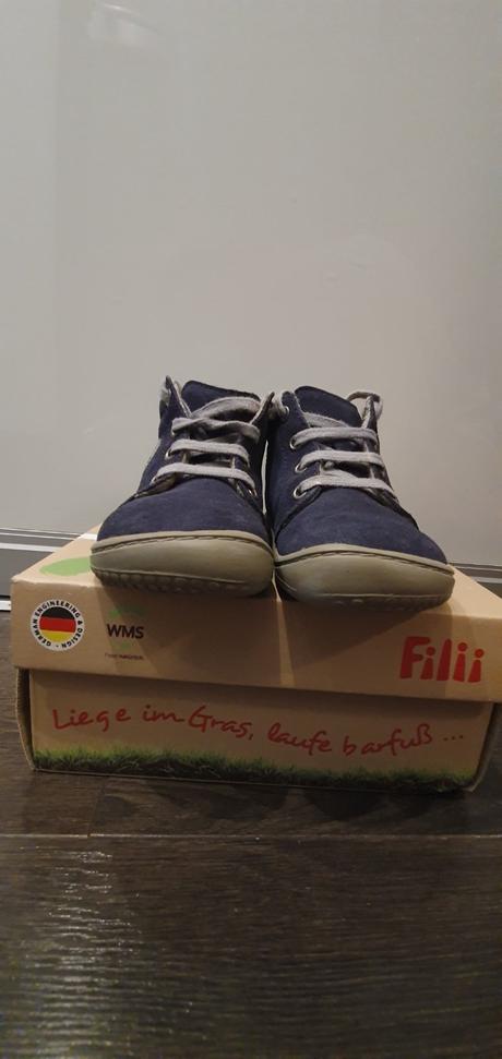 Filii - gecko ocean m  super cena, filii,24