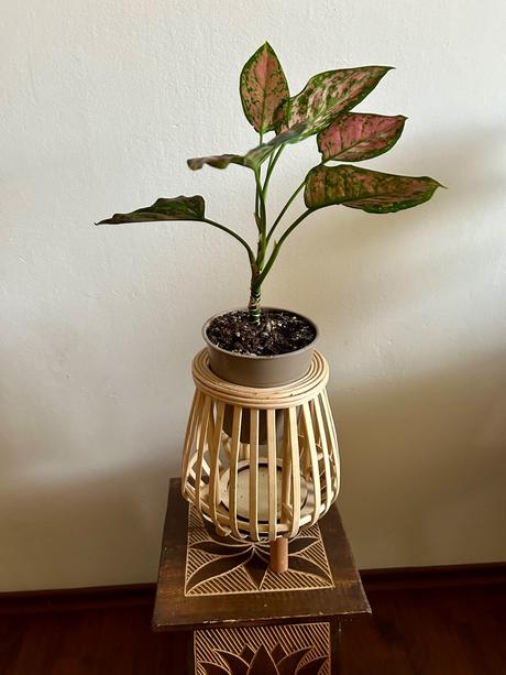 Bambusový stojan 3v1, 