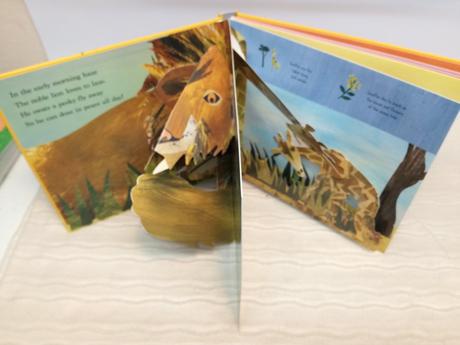 Across the savannah  nau20, 