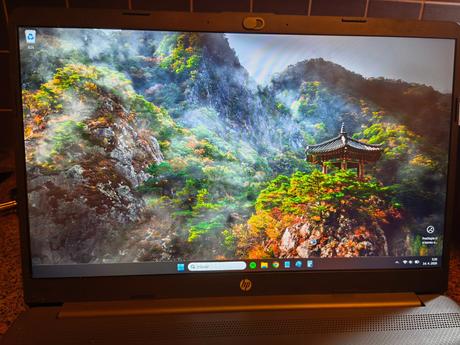 Notebook hp 255 g8 dark ash, hp (hewlett-packard)