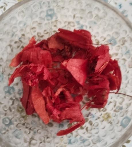 Machovka červená nejedlá, semená, 