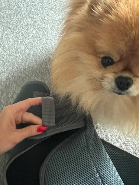 Taška pre malého psíka, 