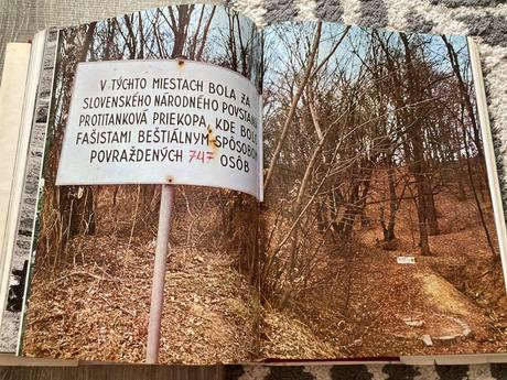 Pieseň o slovenskom národnom povstaní (1974),