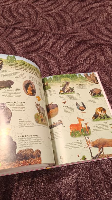 Moja prvá kniha predškoláka a prváka,