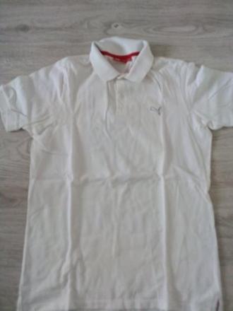 Panska biela polokosela puma, puma,m