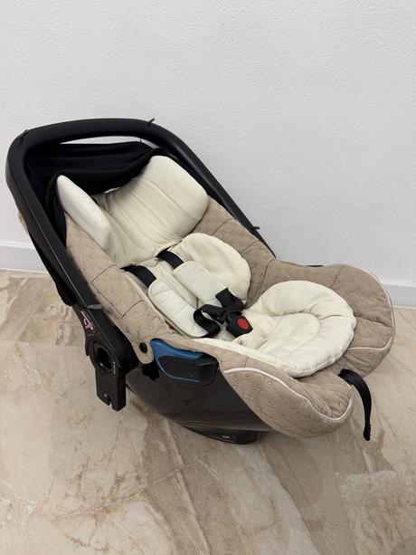 Vajíčko concord, concord