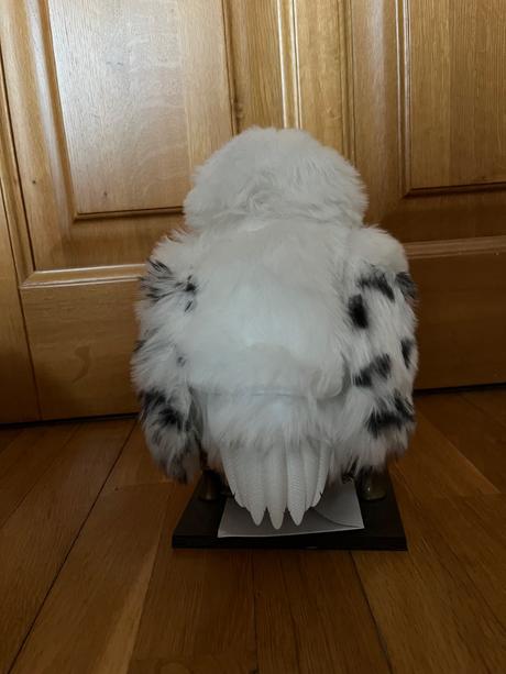 Hedwiga harry potter, 