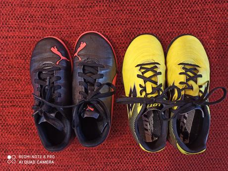 Halovky 31 a turfy 30, lotto,30