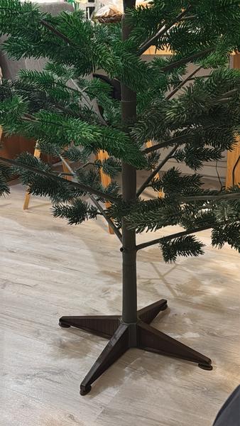 Vetvička na vianočný stromček - Nová Baňa