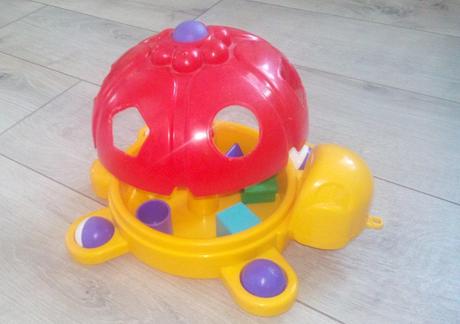 Vkladačka korytnačka, 