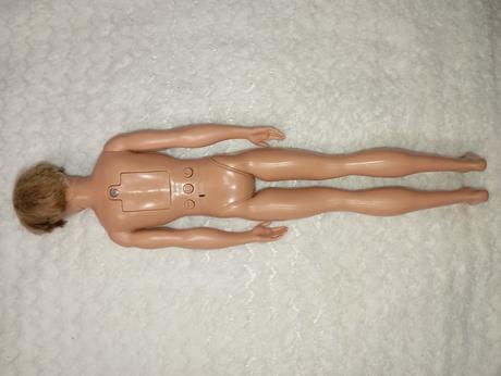 Barbie ken chlapci 2,