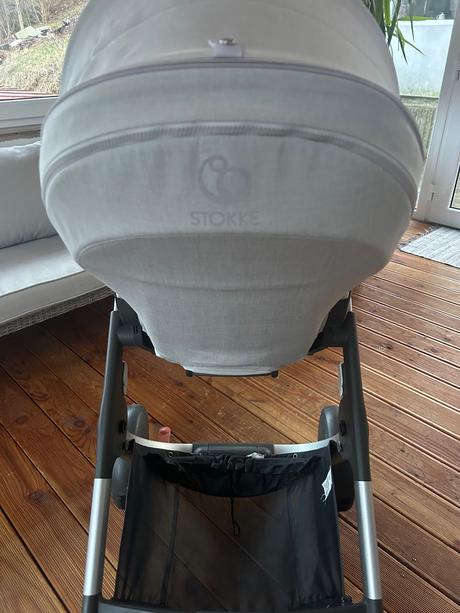 Kočík stokke crusi, stokke,stokke crusi