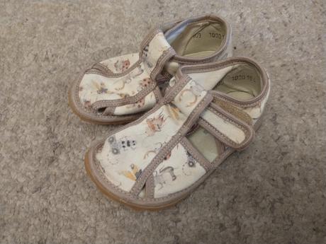 Papučky rak chrobáky, v24, rak,24