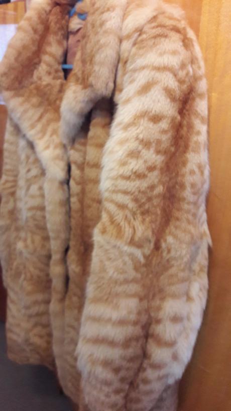 Kožuch - mačka, 52